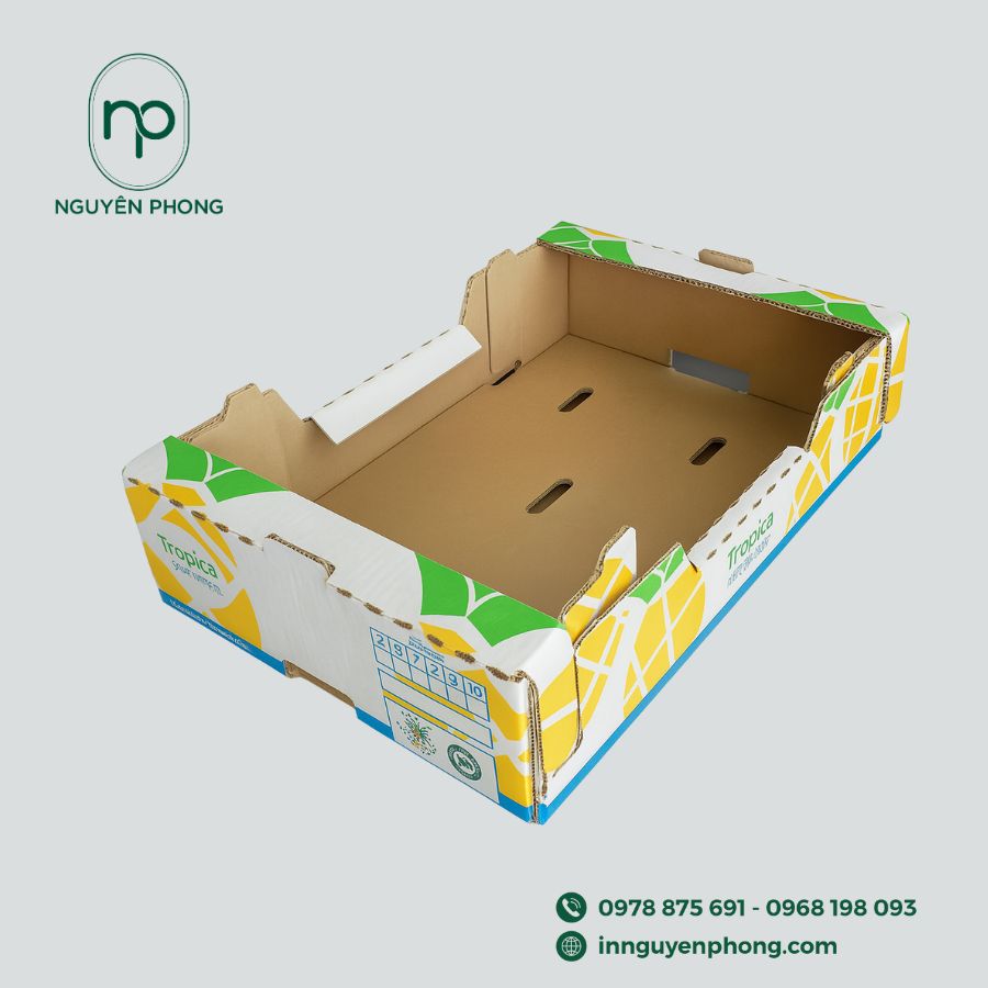 Top-5-cong-ty-in-khay-hoa-qua-gia-re-TPHCM